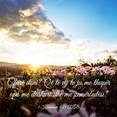 Picture 03 - 1 Korintasve 4:21 ALB - Çfarë doni? Që të vij te ju me thupër apo me - Bible Verse Picture