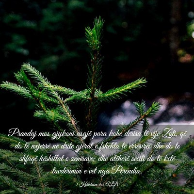 Picture 03 - 1 Korintasve 4:5 ALB - Prandaj mos gjykoni asgjë para kohe derisa të - Bible Verse Picture