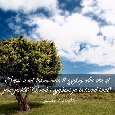 Picture 03 - 1 Korintasve 5:12 ALB - Sepse a më takon mua të gjykoj edhe ata që - Bible Verse Picture