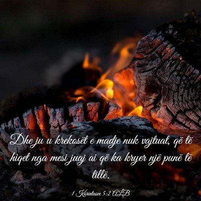 Picture 03 - 1 Korintasve 5:2 ALB - Dhe ju u krekosët e madje nuk vajtuat, që të - Bible Verse Picture