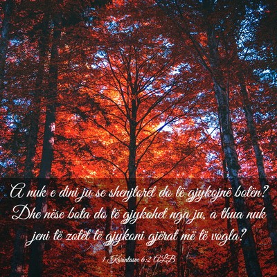 Picture 03 - 1 Korintasve 6:2 ALB - A nuk e dini ju se shenjtorët do të gjykojnë - Bible Verse Picture