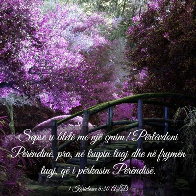 Picture 03 - 1 Korintasve 6:20 ALB - Sepse u bletë me një çmim! Përlëvdoni - Bible Verse Picture