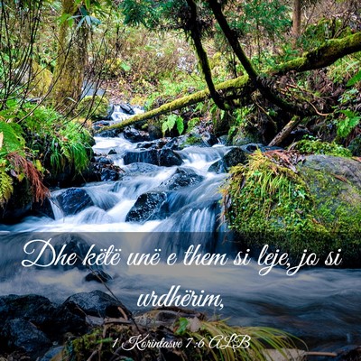 Picture 03 - 1 Korintasve 7:6 ALB - Dhe këtë unë e them si leje, jo si - Bible Verse Picture