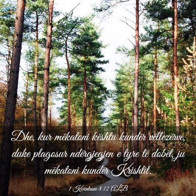 Picture 03 - 1 Korintasve 8:12 ALB - Dhe, kur mëkatoni kështu kundër vëllezërve, - Bible Verse Picture