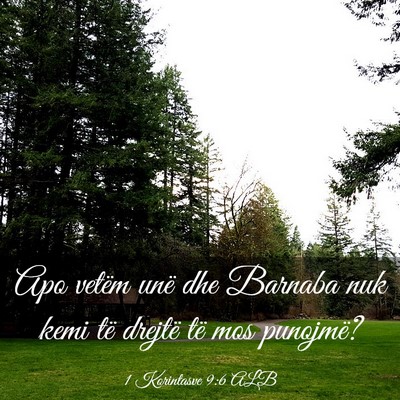 Picture 03 - 1 Korintasve 9:6 ALB - Apo vetëm unë dhe Barnaba nuk kemi të drejtë - Bible Verse Picture