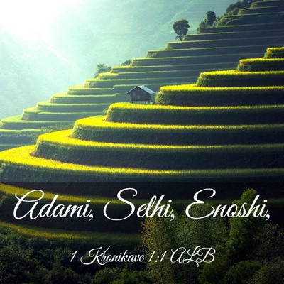 Picture 03 - 1 Kronikave 1:1 ALB - Adami, Sethi, - Bible Verse Picture