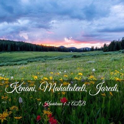 Picture 03 - 1 Kronikave 1:2 ALB - Kenani, Mahalaleeli, - Bible Verse Picture
