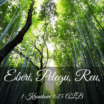 Picture 03 - 1 Kronikave 1:25 ALB - Eberi, Pelegu, - Bible Verse Picture