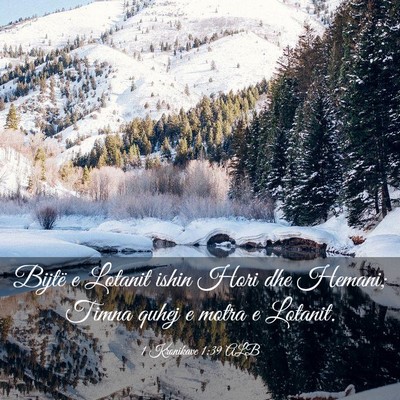 Picture 03 - 1 Kronikave 1:39 ALB - Bijtë e Lotanit ishin Hori dhe Hemani; Timna - Bible Verse Picture