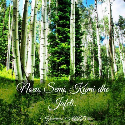 Picture 03 - 1 Kronikave 1:4 ALB - Noeu, Semi, Kami dhe - Bible Verse Picture