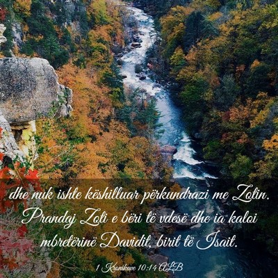 Picture 03 - 1 Kronikave 10:14 ALB - dhe nuk ishte këshilluar përkundrazi me Zotin. - Bible Verse Picture