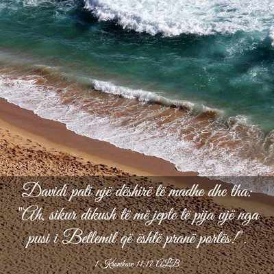 Picture 03 - 1 Kronikave 11:17 ALB - Davidi pati një dëshirë të madhe dhe tha: - Bible Verse Picture