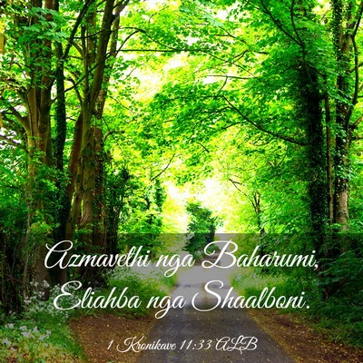 Picture 03 - 1 Kronikave 11:33 ALB - Azmavethi nga Baharumi, Eliahba nga - Bible Verse Picture