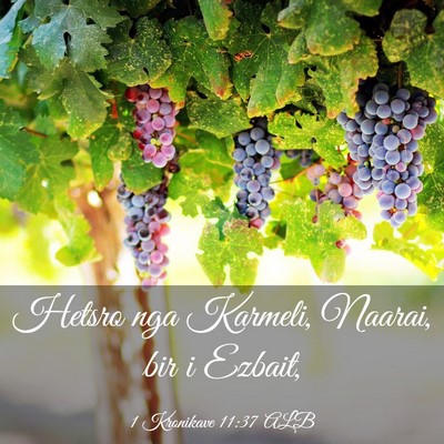 Picture 03 - 1 Kronikave 11:37 ALB - Hetsro nga Karmeli, Naarai, bir i - Bible Verse Picture