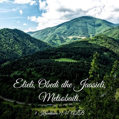 Picture 03 - 1 Kronikave 11:47 ALB - Elieli, Obedi dhe Jaasieli, - Bible Verse Picture