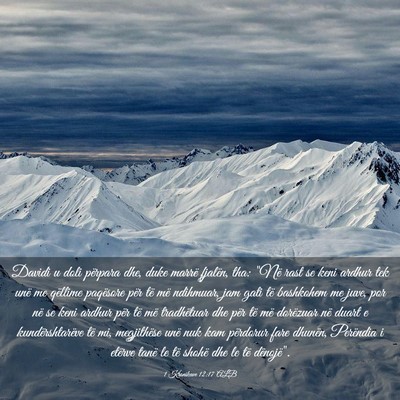 Picture 03 - 1 Kronikave 12:17 ALB - Davidi u doli përpara dhe, duke marrë fjalën, - Bible Verse Picture
