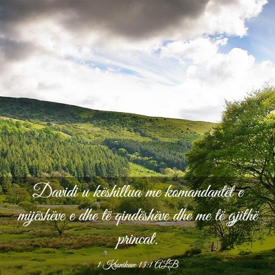 Picture 03 - 1 Kronikave 13:1 ALB - Davidi u këshillua me komandantët e mijëshëve - Bible Verse Picture
