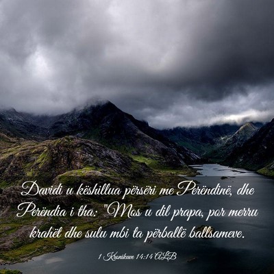 Picture 03 - 1 Kronikave 14:14 ALB - Davidi u këshillua përsëri me Perëndinë, dhe - Bible Verse Picture