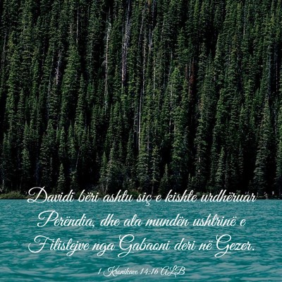 Picture 03 - 1 Kronikave 14:16 ALB - Davidi bëri ashtu siç e kishte urdhëruar - Bible Verse Picture