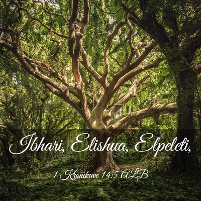 Picture 03 - 1 Kronikave 14:5 ALB - Ibhari, Elishua, - Bible Verse Picture