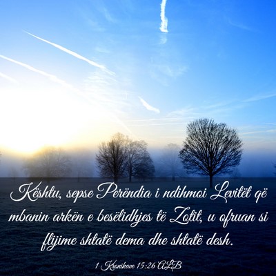 Picture 03 - 1 Kronikave 15:26 ALB - Kështu, sepse Perëndia i ndihmoi Levitët që - Bible Verse Picture