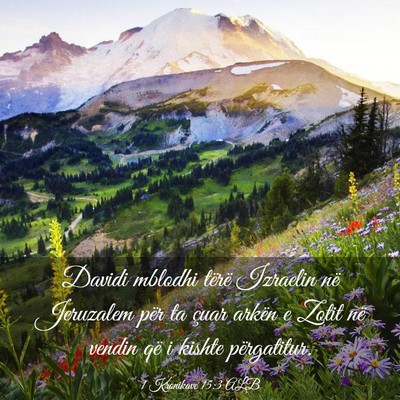 Picture 03 - 1 Kronikave 15:3 ALB - Davidi mblodhi tërë Izraelin në Jeruzalem për - Bible Verse Picture