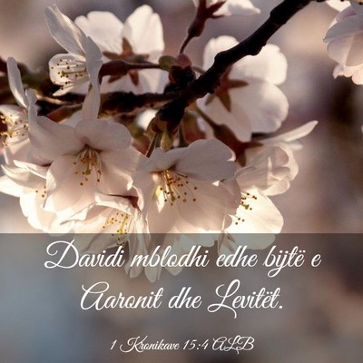 Picture 03 - 1 Kronikave 15:4 ALB - Davidi mblodhi edhe bijtë e Aaronit dhe - Bible Verse Picture