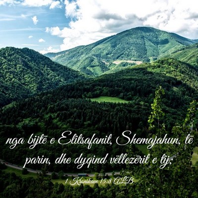 Picture 03 - 1 Kronikave 15:8 ALB - nga bijtë e Elitsafanit, Shemajahun, të parin, - Bible Verse Picture