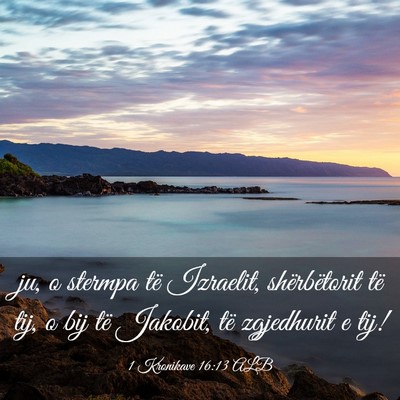 Picture 03 - 1 Kronikave 16:13 ALB - ju, o stermpa të Izraelit, shërbëtorit të - Bible Verse Picture