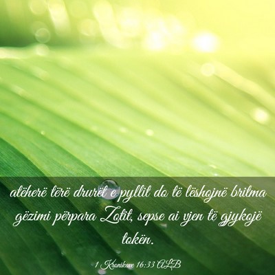 Picture 03 - 1 Kronikave 16:33 ALB - atëherë tërë drurët e pyllit do të - Bible Verse Picture
