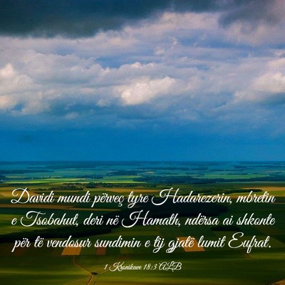 Picture 03 - 1 Kronikave 18:3 ALB - Davidi mundi përveç tyre Hadarezerin, mbretin e - Bible Verse Picture