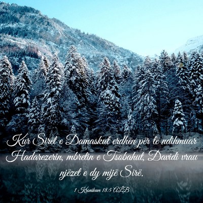 Picture 03 - 1 Kronikave 18:5 ALB - Kur Sirët e Damaskut erdhën për të ndihmuar - Bible Verse Picture