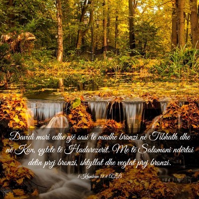 Picture 03 - 1 Kronikave 18:8 ALB - Davidi mori edhe një sasi të madhe bronzi në - Bible Verse Picture