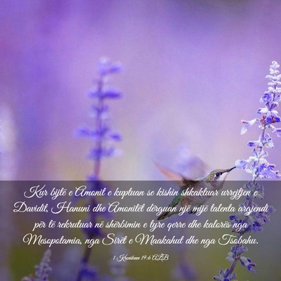 Picture 03 - 1 Kronikave 19:6 ALB - Kur bijtë e Amonit e kuptuan se kishin shkaktuar - Bible Verse Picture