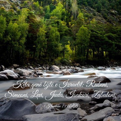 Picture 03 - 1 Kronikave 2:1 ALB - Këta qenë bijtë e Izraelit: Rubeni, Simeoni, - Bible Verse Picture