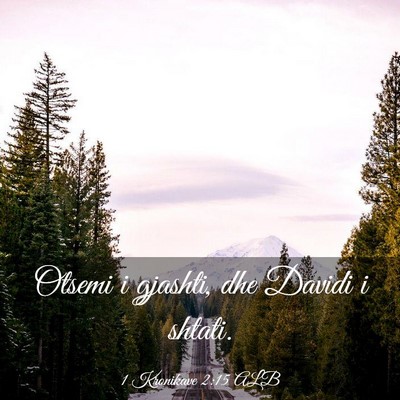 Picture 03 - 1 Kronikave 2:15 ALB - Otsemi i gjashti, dhe Davidi i - Bible Verse Picture