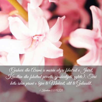 Picture 03 - 1 Kronikave 2:23 ALB - (Geshuri dhe Arami u morën atyre fshatrat e - Bible Verse Picture