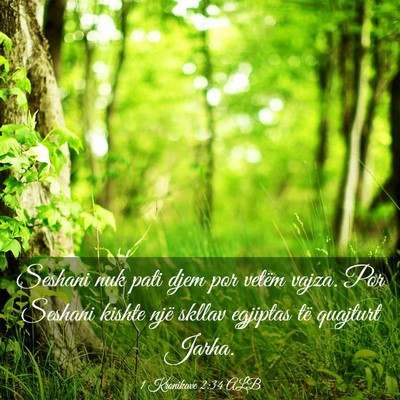 Picture 03 - 1 Kronikave 2:34 ALB - Seshani nuk pati djem por vetëm vajza. Por - Bible Verse Picture