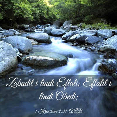 Picture 03 - 1 Kronikave 2:37 ALB - Zabadit i lindi Eflali; Eflalit i lindi - Bible Verse Picture