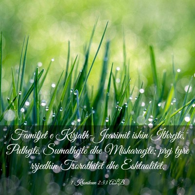 Picture 03 - 1 Kronikave 2:53 ALB - Familjet e Kirjath-Jearimit ishin Ithrejtë, - Bible Verse Picture