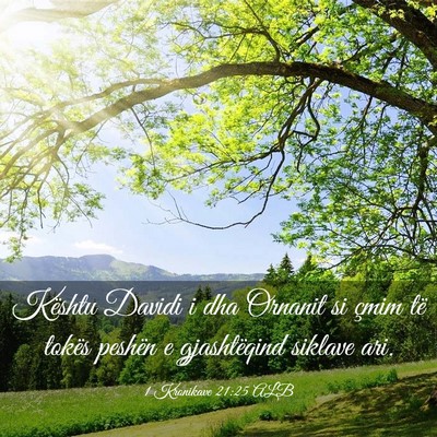 Picture 03 - 1 Kronikave 21:25 ALB - Kështu Davidi i dha Ornanit si çmim të tokës - Bible Verse Picture