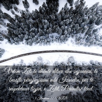 Picture 03 - 1 Kronikave 22:12 ALB - Vetëm Zoti të dhëntë dituri dhe zgjuarësi, - Bible Verse Picture