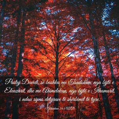 Picture 03 - 1 Kronikave 24:3 ALB - Pastaj Davidi, së bashku me Tsadokun, nga bijtë - Bible Verse Picture