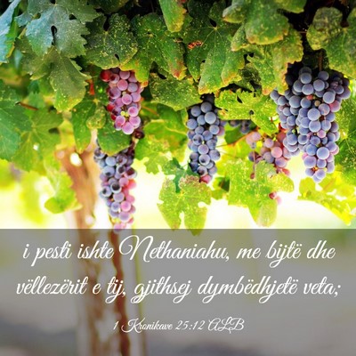 Picture 03 - 1 Kronikave 25:12 ALB - i pesti ishte Nethaniahu, me bijtë dhe - Bible Verse Picture