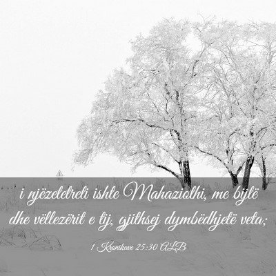 Picture 03 - 1 Kronikave 25:30 ALB - i njëzetetreti ishte Mahaziothi, me bijtë dhe - Bible Verse Picture