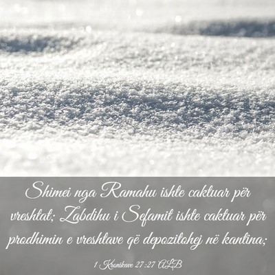 Picture 03 - 1 Kronikave 27:27 ALB - Shimei nga Ramahu ishte caktuar për vreshtat; - Bible Verse Picture