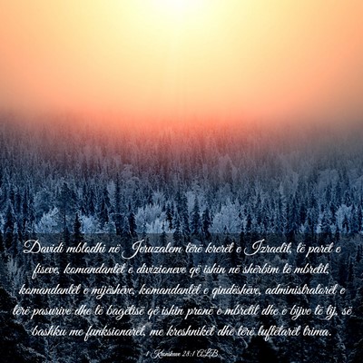 Picture 03 - 1 Kronikave 28:1 ALB - Davidi mblodhi në Jeruzalem tërë krerët e - Bible Verse Picture