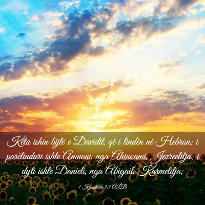 Picture 03 - 1 Kronikave 3:1 ALB - Këta ishin bijtë e Davidit, që i lindën në - Bible Verse Picture