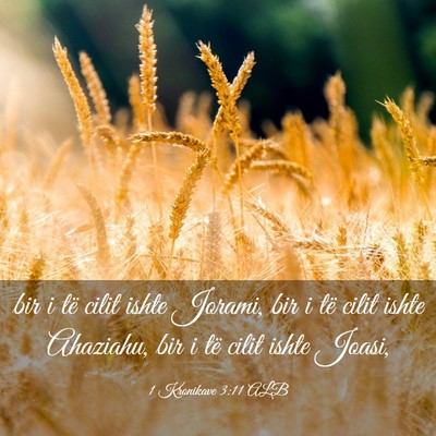 Picture 03 - 1 Kronikave 3:11 ALB - bir i të cilit ishte Jorami, bir i të cilit - Bible Verse Picture