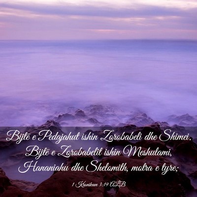 Picture 03 - 1 Kronikave 3:19 ALB - Bijtë e Pedajahut ishin Zorobabeli dhe Shimei. - Bible Verse Picture